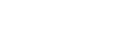 CEO Transport Ltd